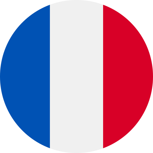 Langue actuelle